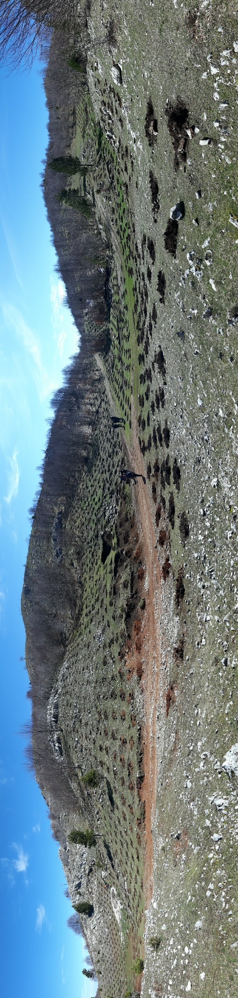 Environmental service