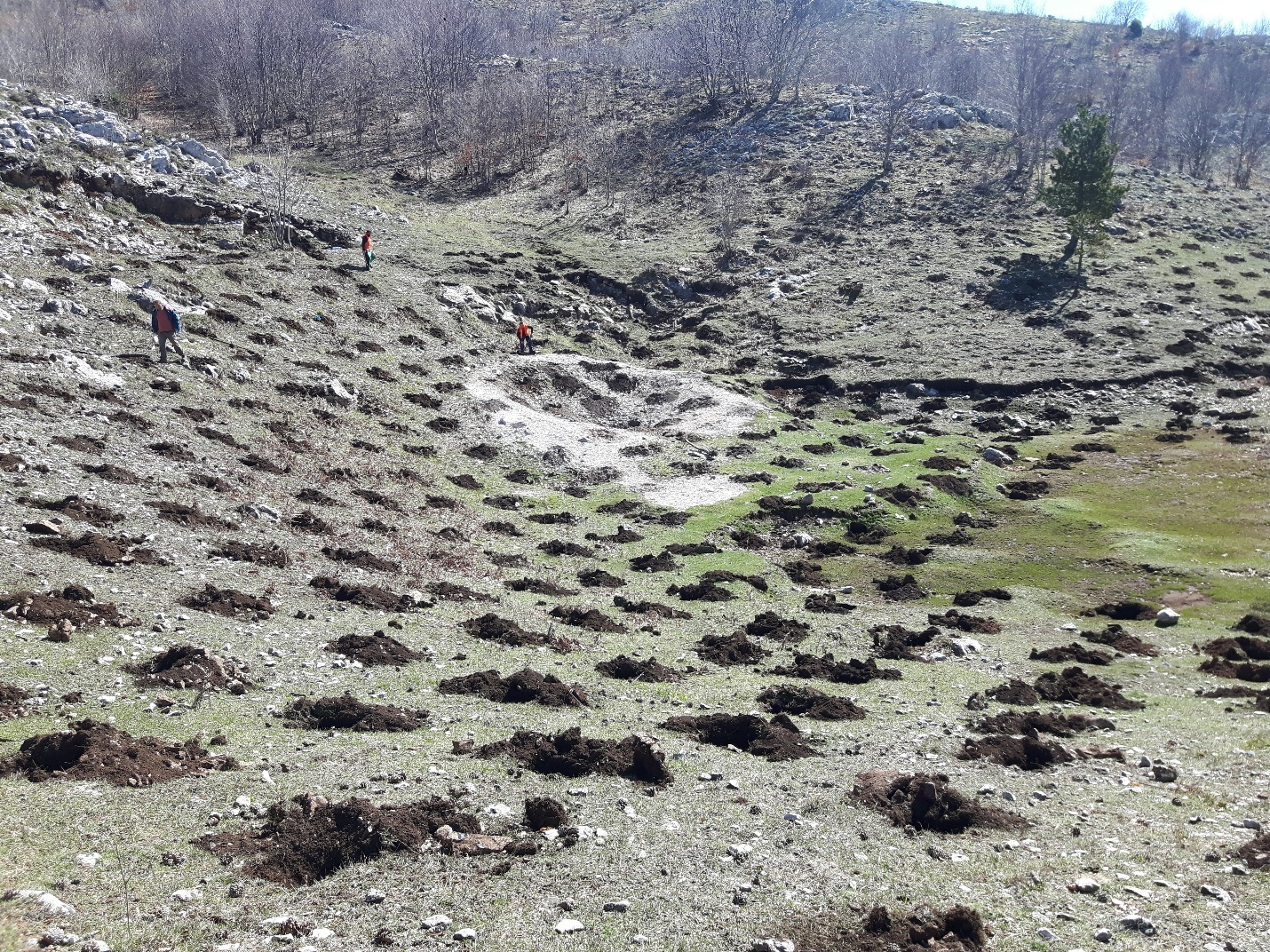 Environmental service