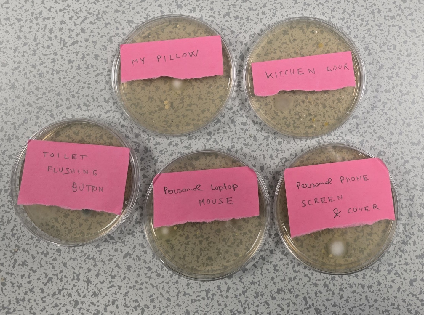 Environmental service