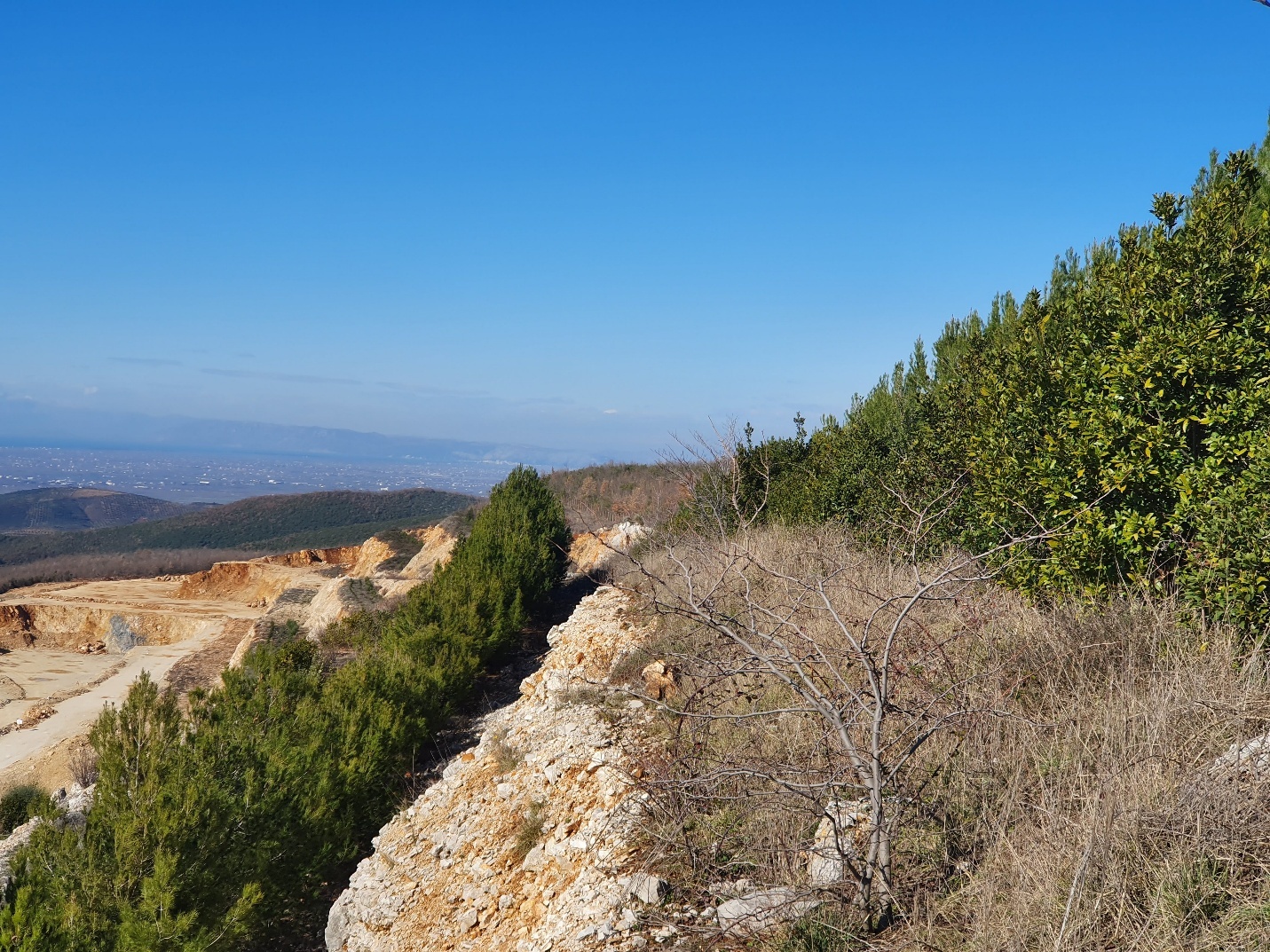 Environmental service